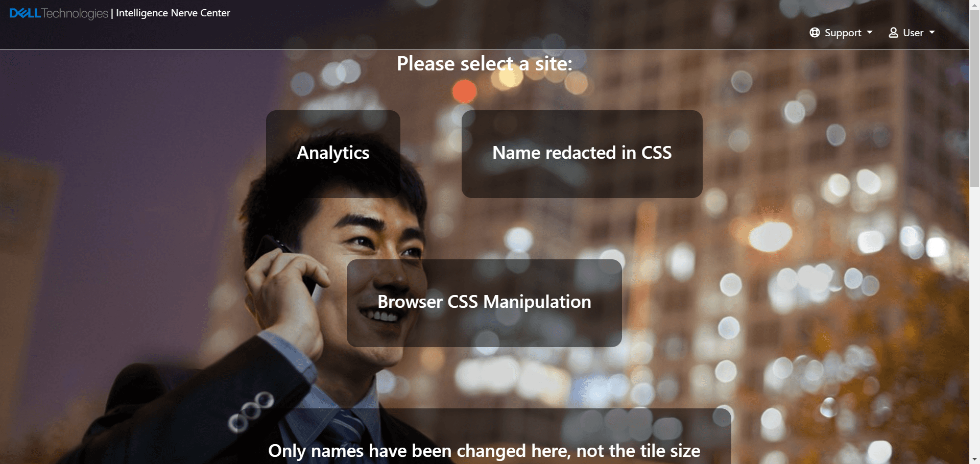 Before, Dell INC's original interface showing cluttered navigation and dated visual treatment